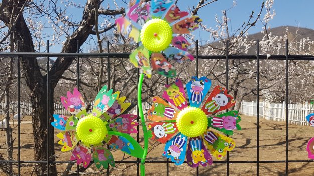 35283760_10160646913040089_6260668613565349888_o